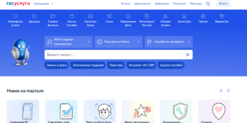 От идеи до регистрации: как «Госуслуги» помогают открыть бизнес на Кубани