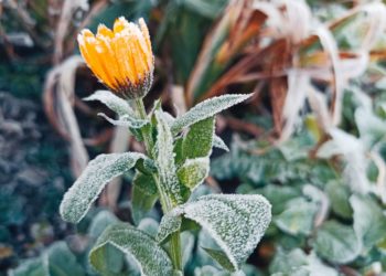 Прогноз погоды на 14 и 15 ноября в Краснодарском крае