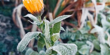 Прогноз погоды на 14 и 15 ноября в Краснодарском крае