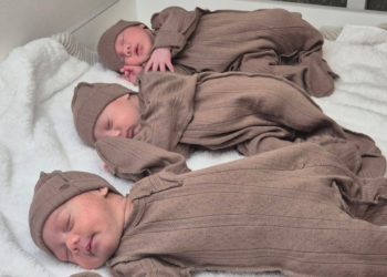 В Краснодарском крае родилось более 42 тысяч рублей с начала 2025 года