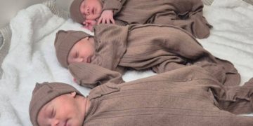 В Краснодарском крае родилось более 42 тысяч рублей с начала 2025 года