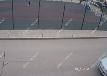 В Краснодаре собака укусила ребенка