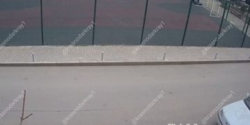 В Краснодаре собака укусила ребенка