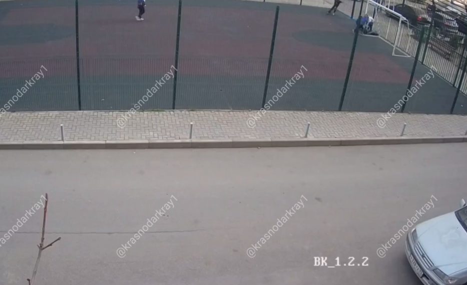 В Краснодаре собака укусила ребенка