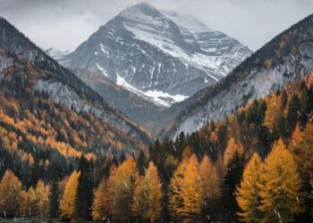 Сложная погодная обстановка ожидает Кубань в среду: сильные дожди, грозы и туман