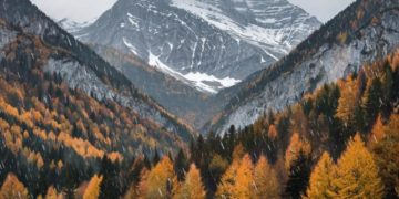 Сложная погодная обстановка ожидает Кубань в среду: сильные дожди, грозы и туман