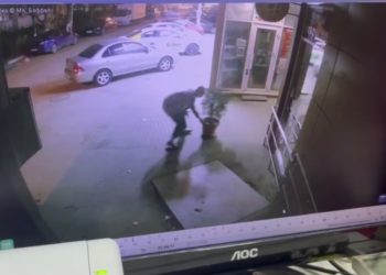 В Краснодаре разыгралась детективная история с ботаническим уклоном