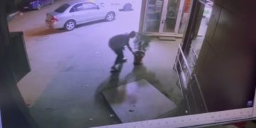 В Краснодаре разыгралась детективная история с ботаническим уклоном