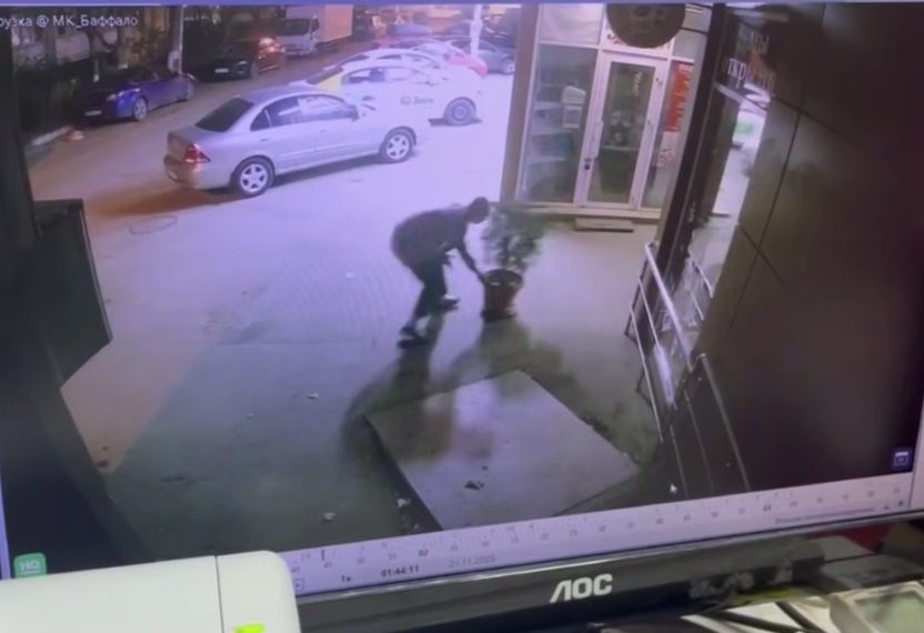 В Краснодаре разыгралась детективная история с ботаническим уклоном