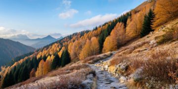 Синоптики Шувалов и Вильфанд солидарны в ожидании теплого ноября на Кубани