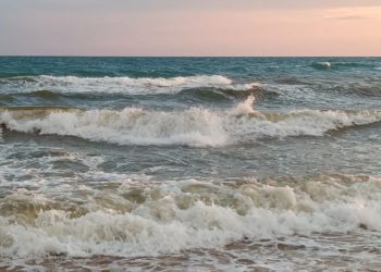 Синоптики удивили прогнозом на первую половину декабря на Кубани