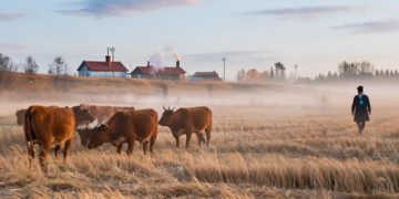 Синоптики удивили прогнозом на начало декабря 2025 года в Краснодарском крае