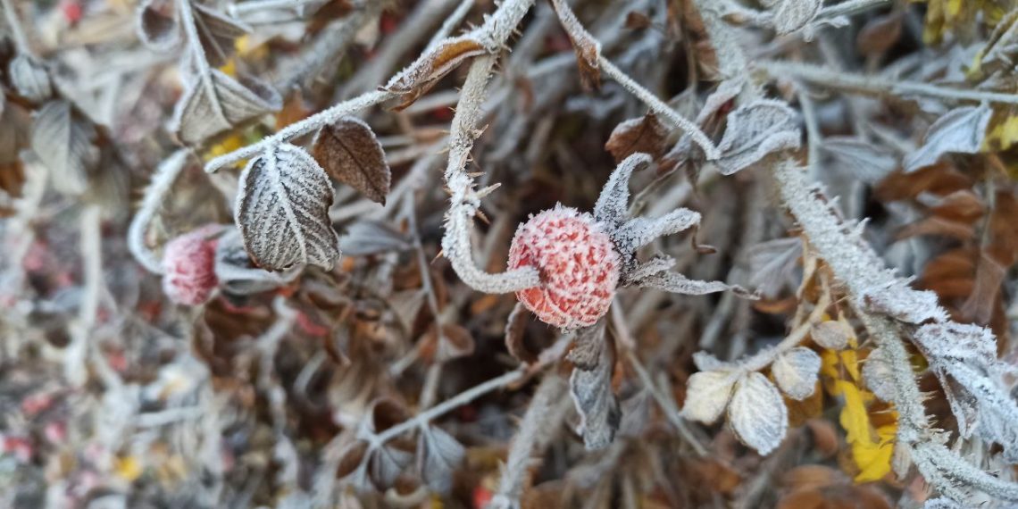 Метеослужба предупредила о капризной погоде в среду 26 ноября на Кубани