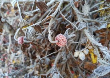 Метеослужба предупредила о капризной погоде в среду 26 ноября на Кубани