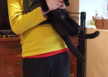 В Сочи встретились герой и спасенный им ребенок спустя год после нападения хаски