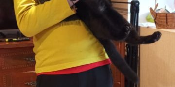 В Сочи встретились герой и спасенный им ребенок спустя год после нападения хаски