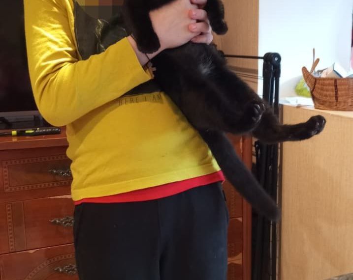 В Сочи встретились герой и спасенный им ребенок спустя год после нападения хаски