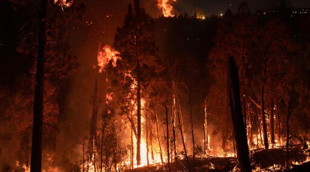 Оперштаб Кубани: обломки БПЛА вызвали лесной пожар под Геленджиком