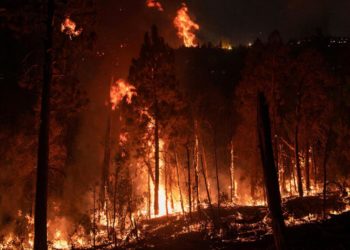 Оперштаб Кубани: обломки БПЛА вызвали лесной пожар под Геленджиком