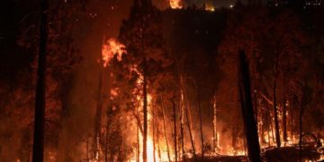 Оперштаб Кубани: обломки БПЛА вызвали лесной пожар под Геленджиком