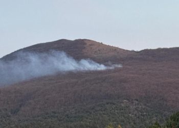 Лесной пожар в Новороссийском лесничестве локализован на площади в 1,2 га