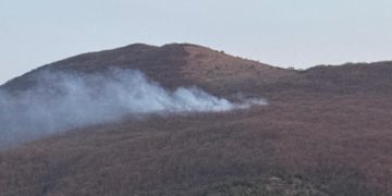 Лесной пожар в Новороссийском лесничестве локализован на площади в 1,2 га