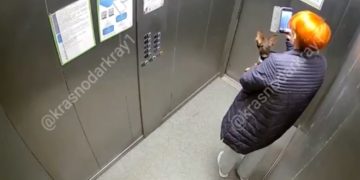 В Краснодаре упал лифт с женщиной внутри