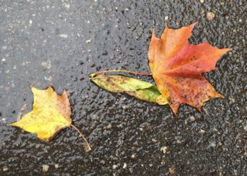 Начало декабря принесёт на Кубань дожди и понижение температуры