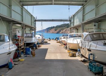 Семья экс-депутата Напсо нашла пристанище в лодочном гараже в Сочи