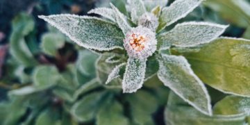 Официальный прогноз погоды на воскресенье 16 ноября на Кубани