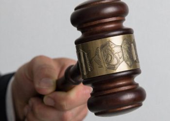 Застройщики в Сочи лишились отеля и заплатят 14 млрд за ущерб экологии