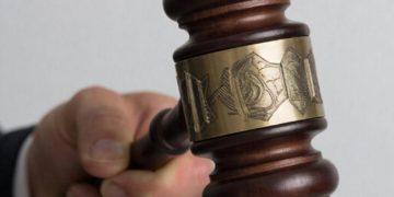 Застройщики в Сочи лишились отеля и заплатят 14 млрд за ущерб экологии