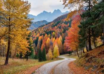 От бабьего лета до похолодания: прогноз на неделю с 10 по 16 ноября на Кубани