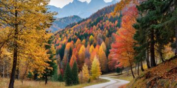 От бабьего лета до похолодания: прогноз на неделю с 10 по 16 ноября на Кубани