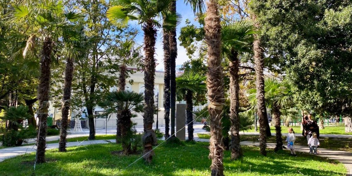 На компенсационное озеленение в Сочи выделили 400 млн рублей в 2025 году