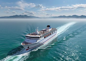 Паром из Трабзона в Сочи не смог зайти в порт из-за отсутствия разрешений