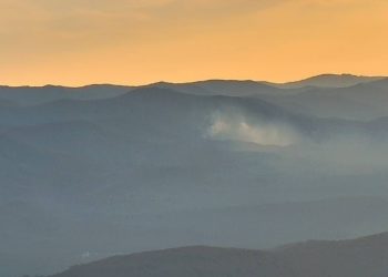 На Кубани тушат лесной пожар площадью 0,7 гектара