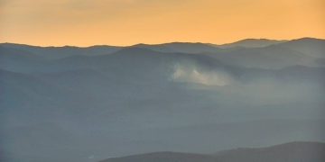 На Кубани тушат лесной пожар площадью 0,7 гектара