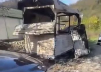 В Сочи неизвестный заживо сжег двух собак