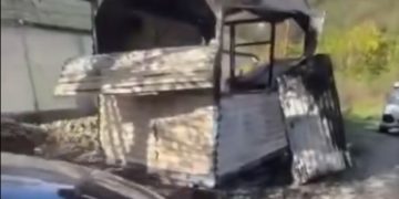 В Сочи неизвестный заживо сжег двух собак