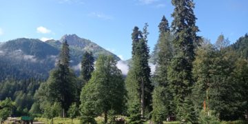 Прогноз погоды на пятницу 7 ноября на Кубани