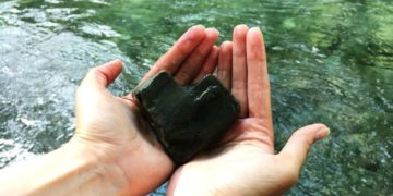 Свежий прогноз погоды на субботу 15 ноября в Краснодарском крае