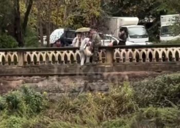 В Сочи спасли из русла реки двух собак