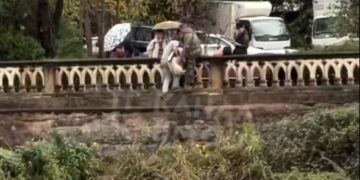 В Сочи спасли из русла реки двух собак