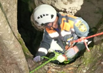 На Кубани спасли упавшую в 10-метровую расщелину собаку