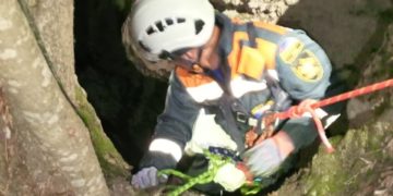 На Кубани спасли упавшую в 10-метровую расщелину собаку