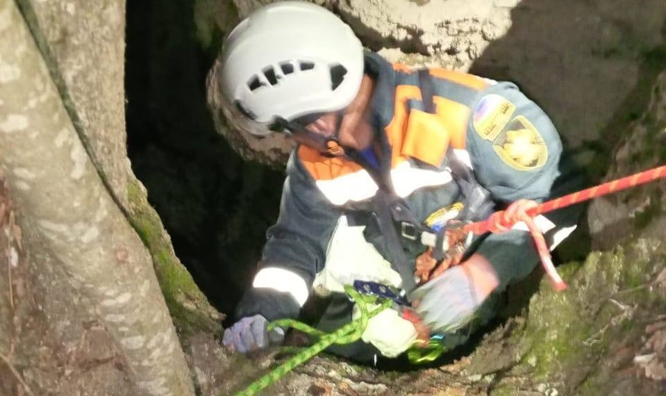 На Кубани спасли упавшую в 10-метровую расщелину собаку