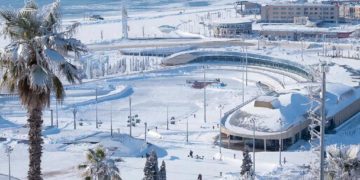 Сочи и Краснодар возглавили рейтинг самых востребованных направлений для зимовки