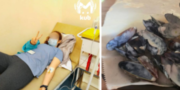 Через туалет — на кухню: ресторан в Сочи закрыли после повторных скандалов