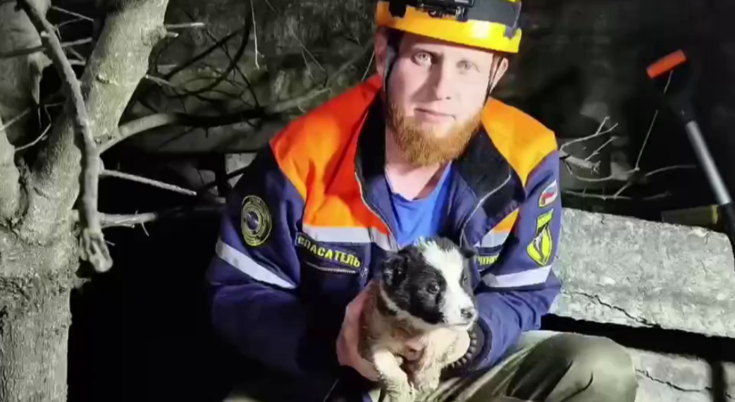 В Новороссийске спасатели освободили щенка, застрявшего в полостях плиты перекрытия